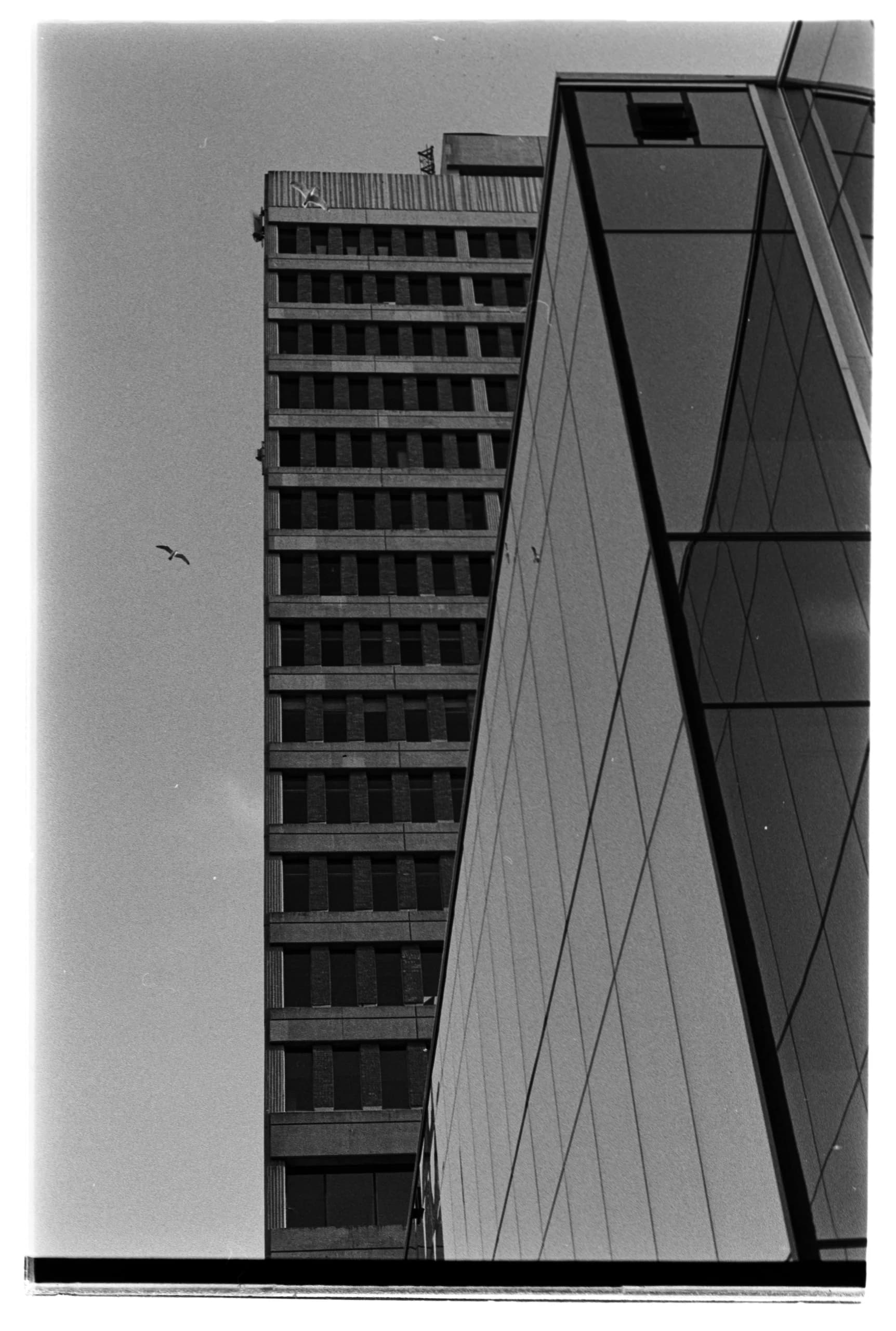 Film photo 1