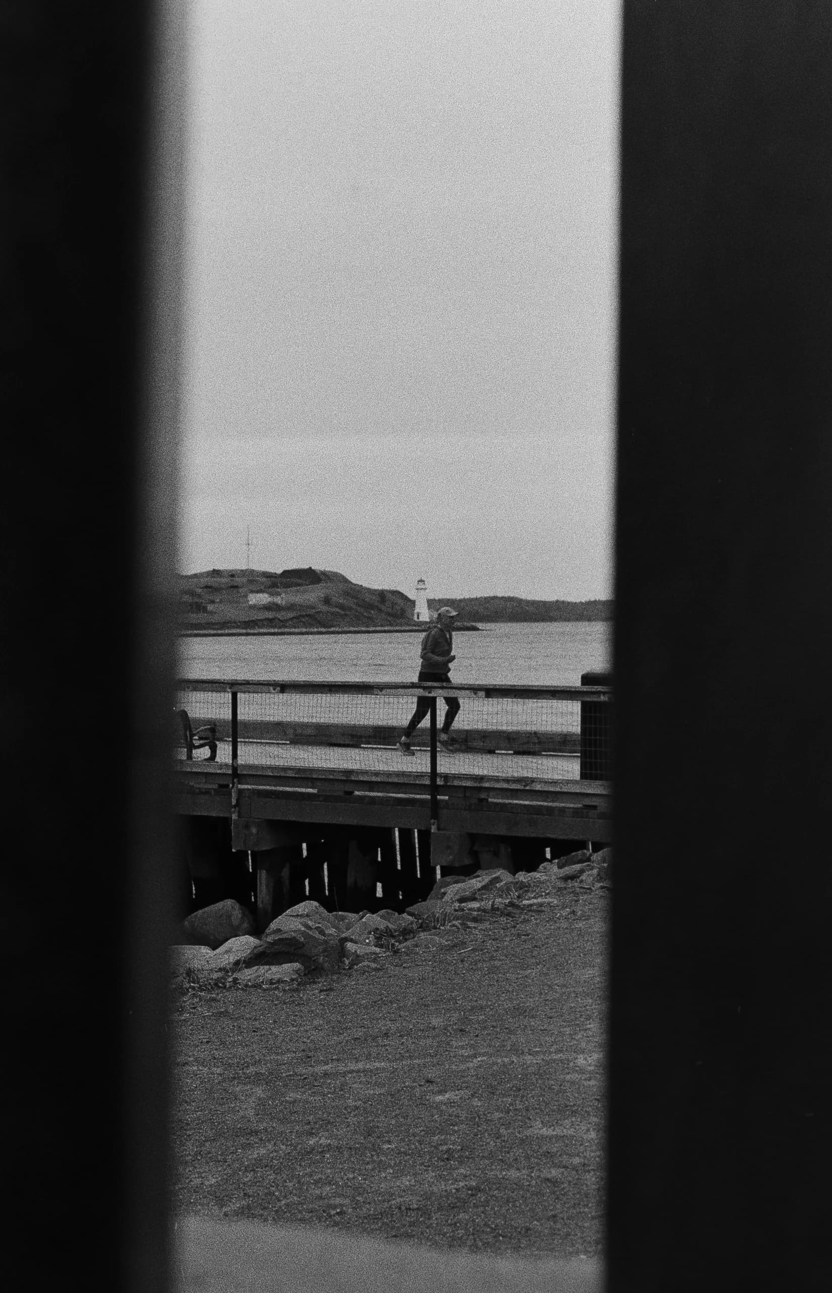 Film photo 11