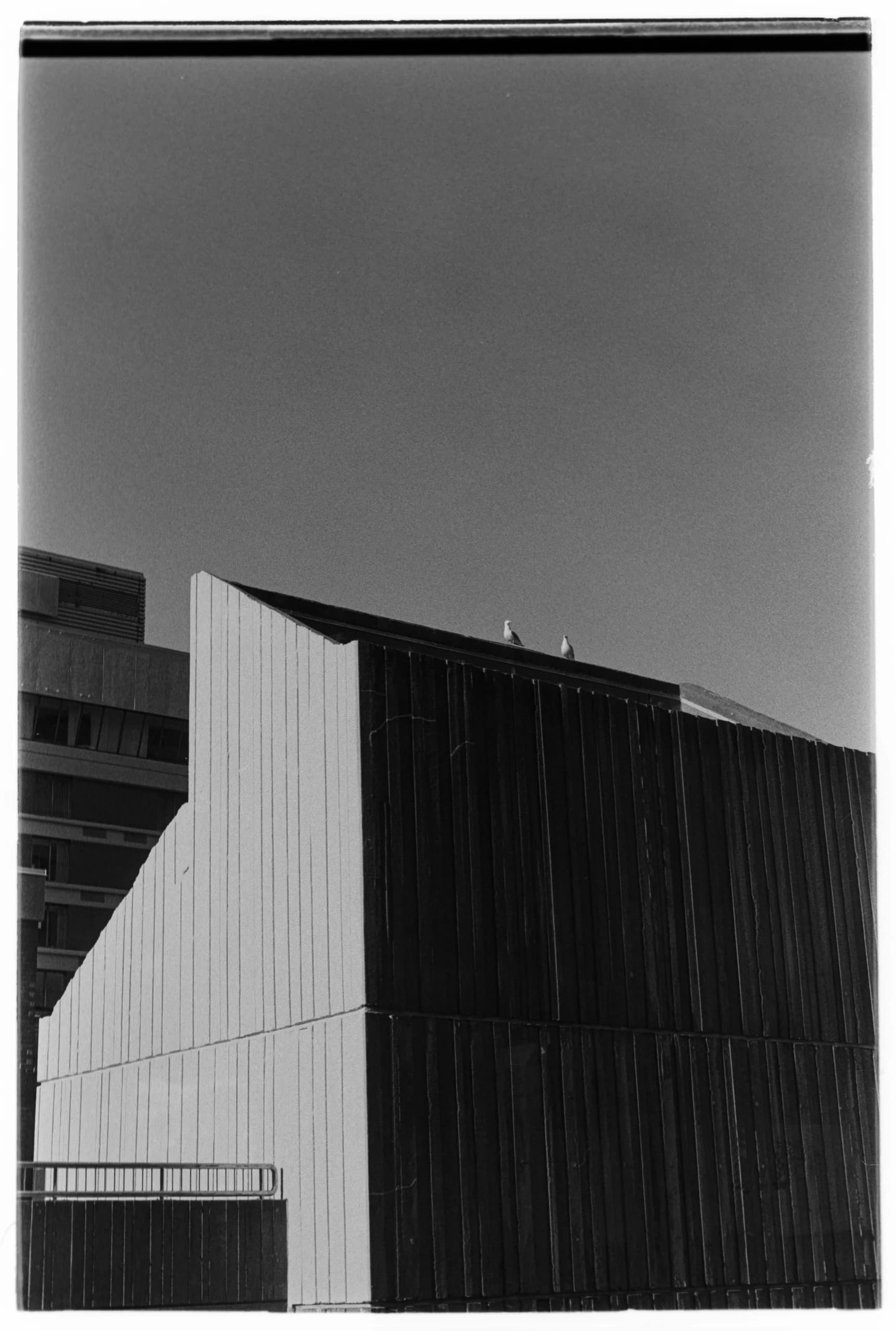 Film photo 2
