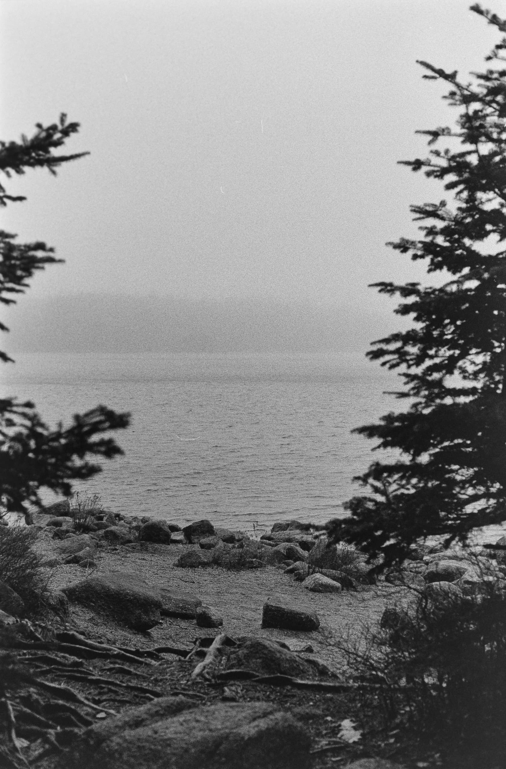Film photo 4