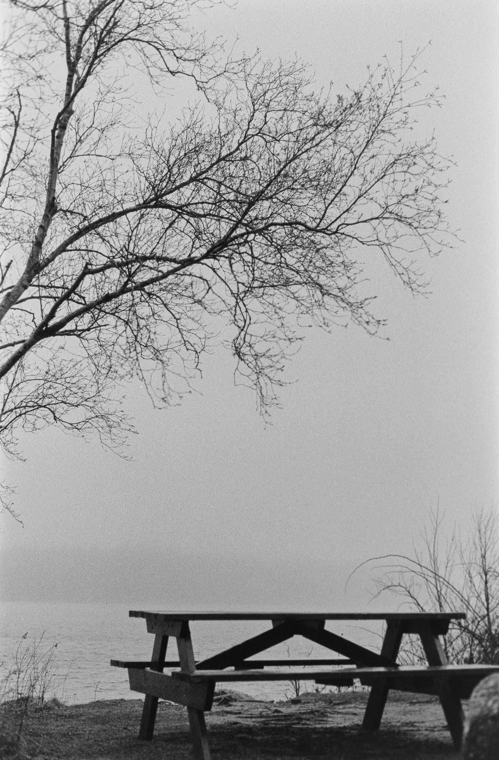 Featured photograph 16